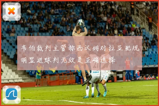 韦伯裁判主管称西汉姆对拉亚犯规明显进球判无效是正确选择