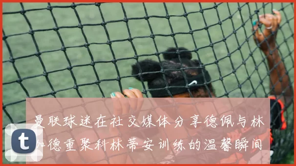 曼联球迷在社交媒体分享德佩与林加德重聚科林蒂安训练的温馨瞬间